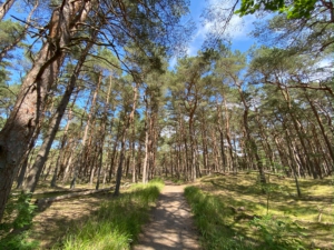 Weg zum Strand Die Schaabe bei Glowe. Schönster Strand der Insel Rügen.
