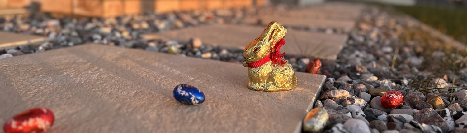 Osterhase im Garten des Ferienhaus Reethaus Nordlicht