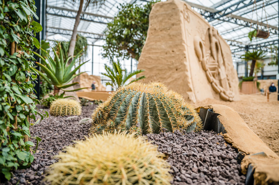 Sandskulpturen auf Rügen