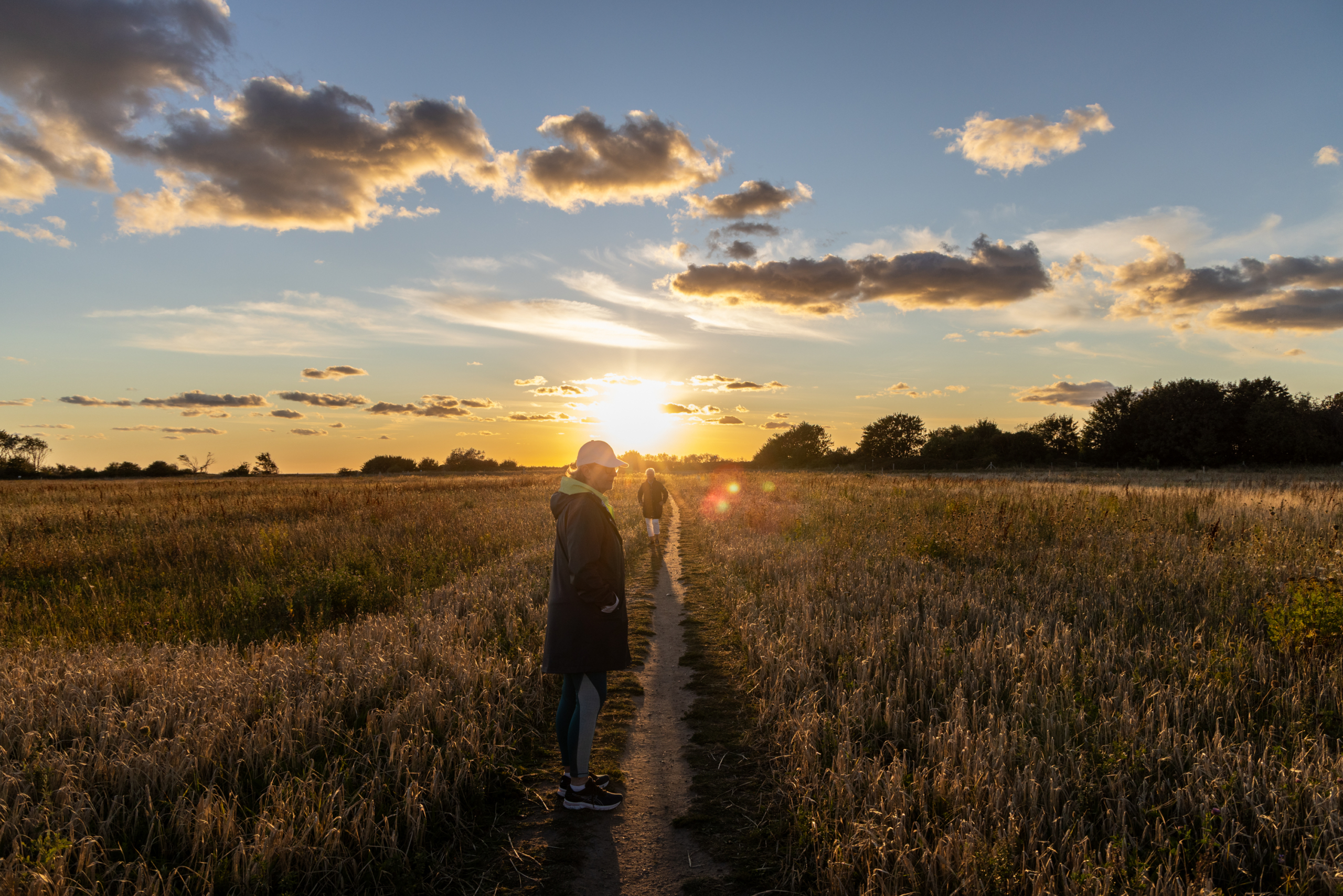 Weite Landschaft im Norden Rügens in der Abendsonne