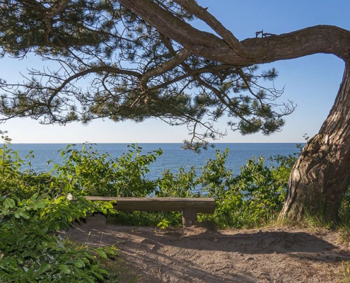 Rügens Märchenwald