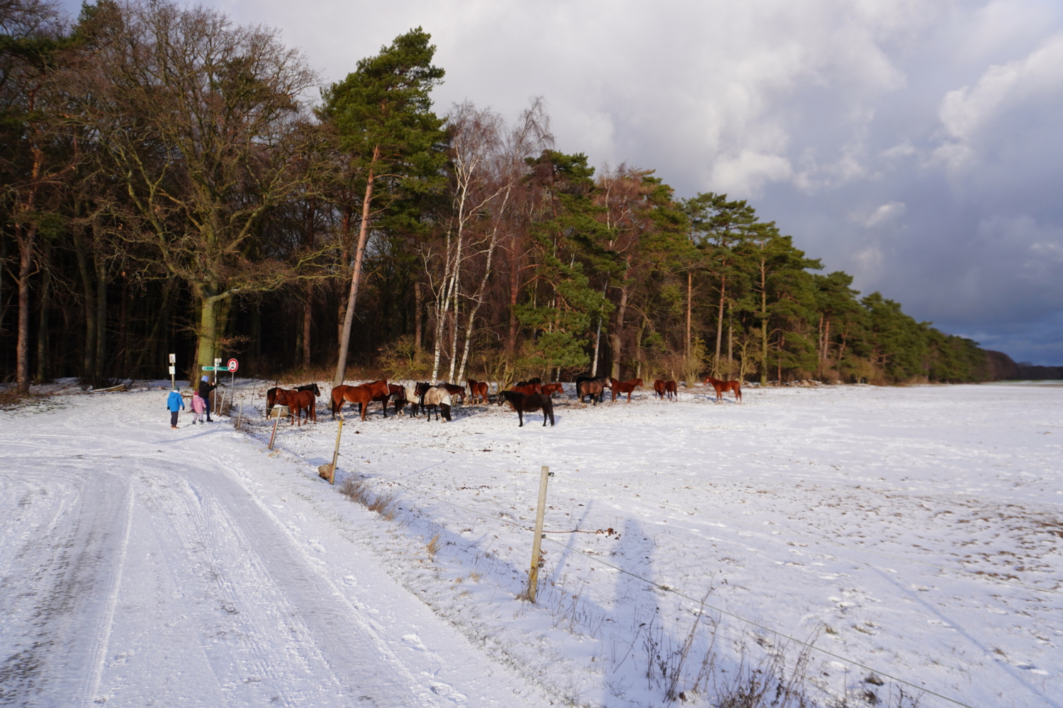 Rügen im Winter