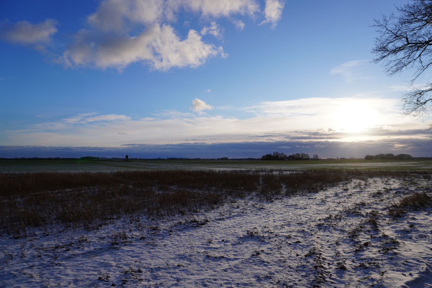 Märchenwald auf der Insel Rügen