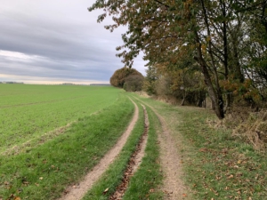 Wandern - Westküste: Wieker Bodden: Kap Arkona - Wiek