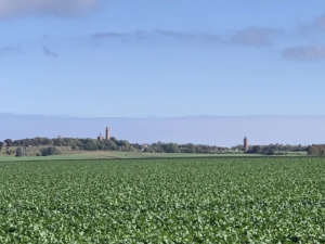 Wandern - Putgarten - Nordstrand - Gellort